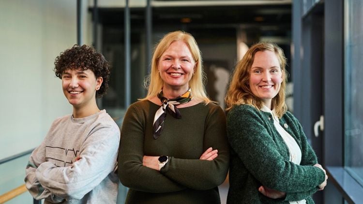 Tre kolleger står sammen og smiler