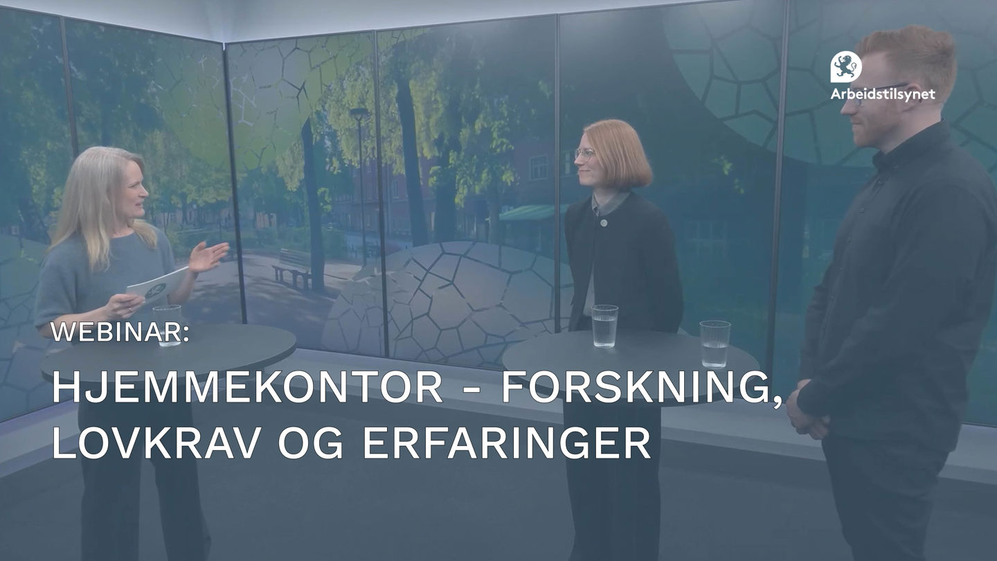Bilde fra webinaret med programleder Karin Scheel og to av gjestene. Se står foran en fargerik vegg og snakker sammen.